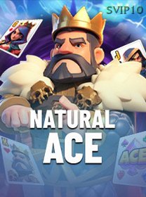 Natural Ace game cover